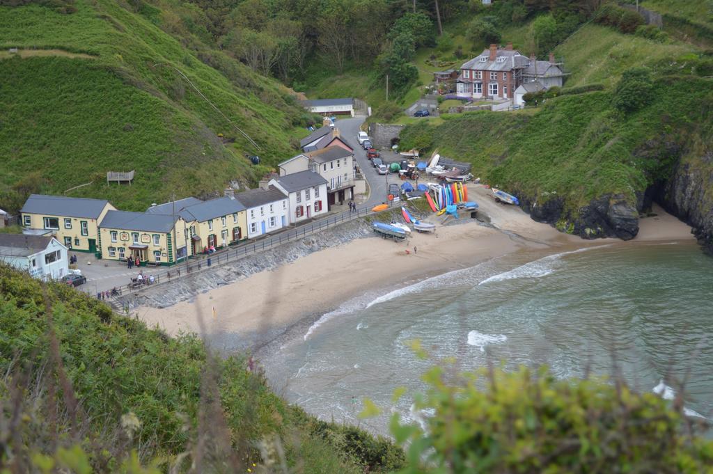 Troedyrhiw Bed & Breakfast Cardigan Exterior foto